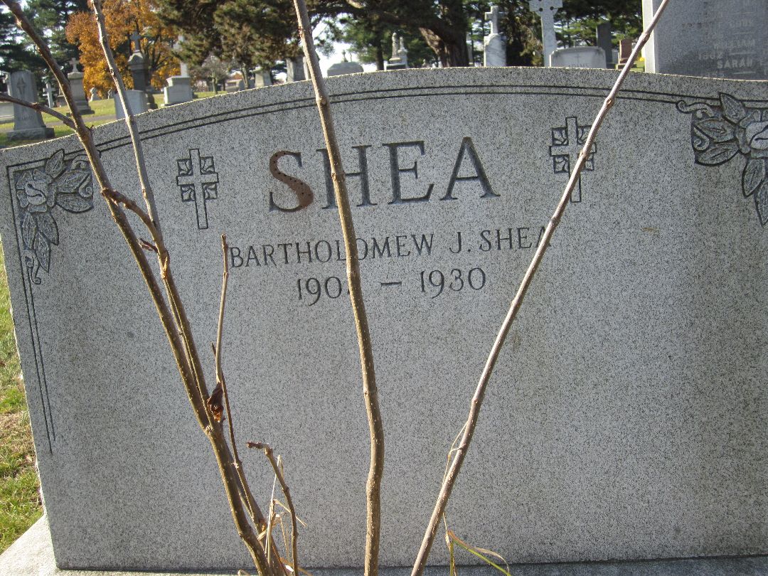 Bartholomew Shea - gravestone