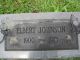 Elbert Johnson - footstone